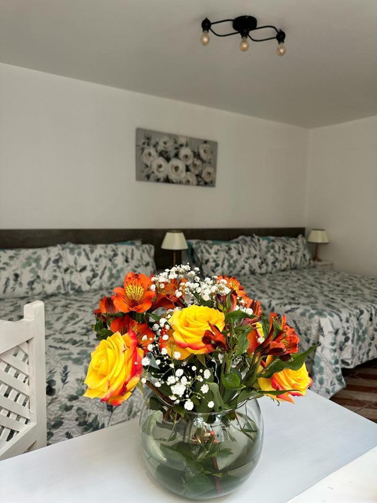 Casa Balthazar Hostel Quito Luaran gambar